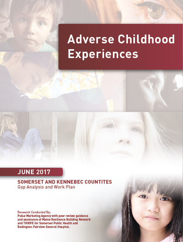 Market Research for Adverse Childhood Experiences