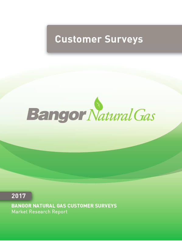 Market Research for Bangor Natural Gas